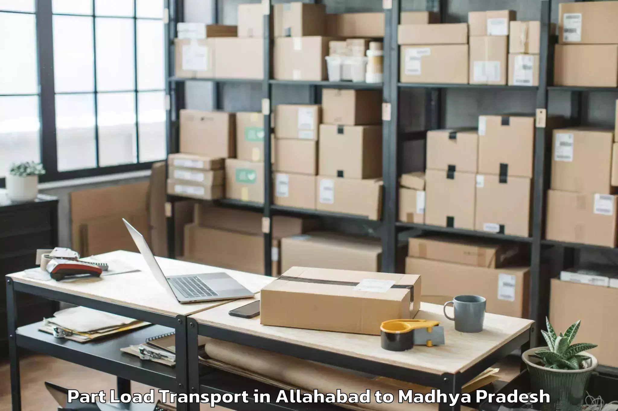 Leading Allahabad to Narsinghgarh Part Load Transport Provider